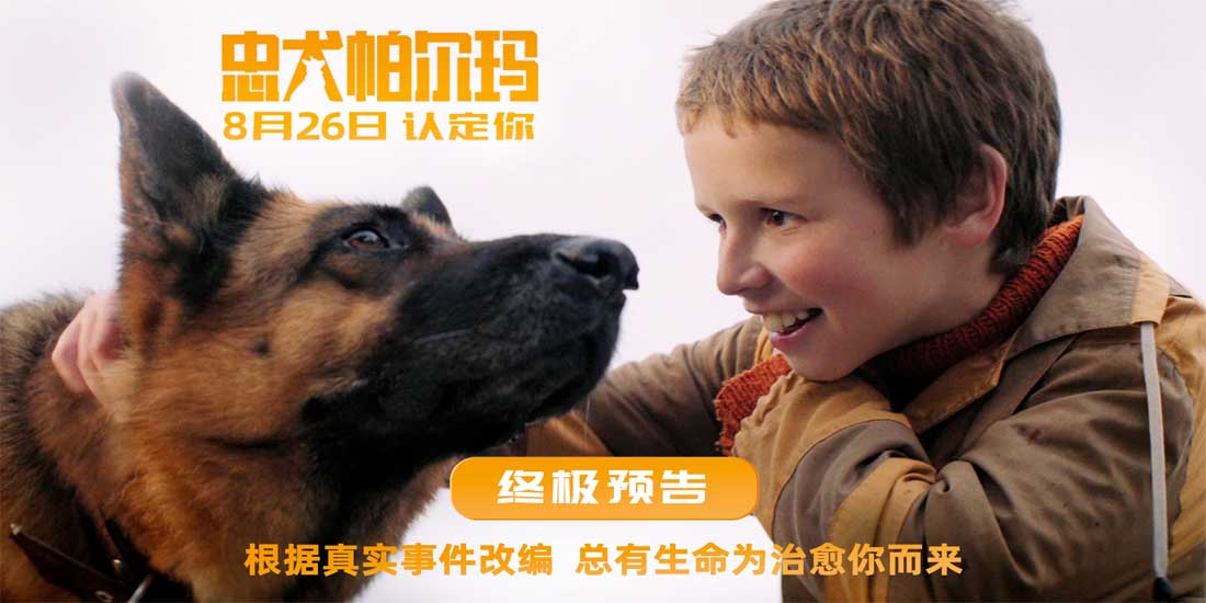 电影《忠犬帕尔玛》发布终极预告826上映
