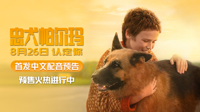 《忠犬帕尔玛》点映收获好评满满 首发中