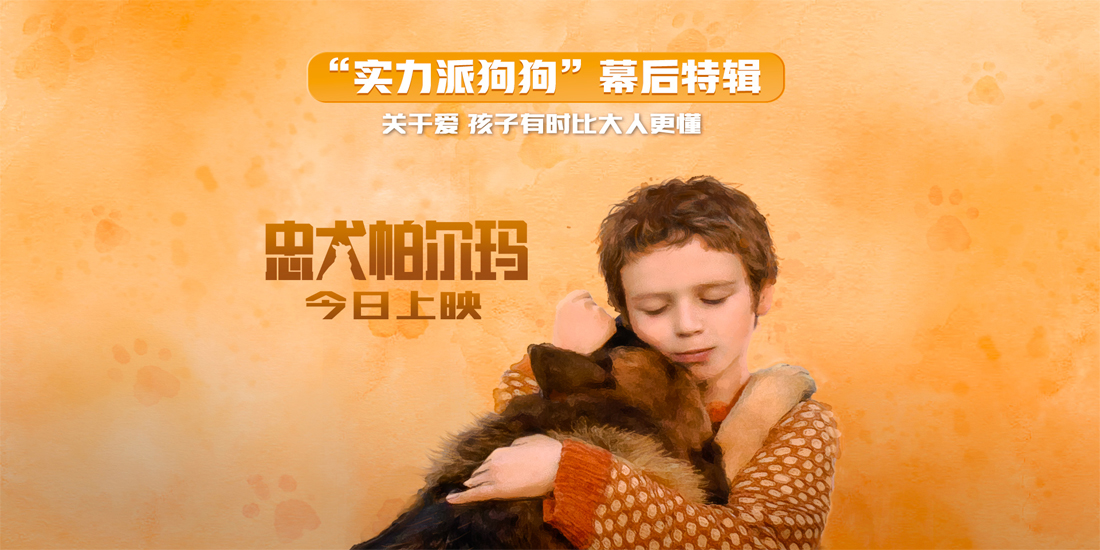 让孩子受益一生的治愈系电影《忠犬帕尔