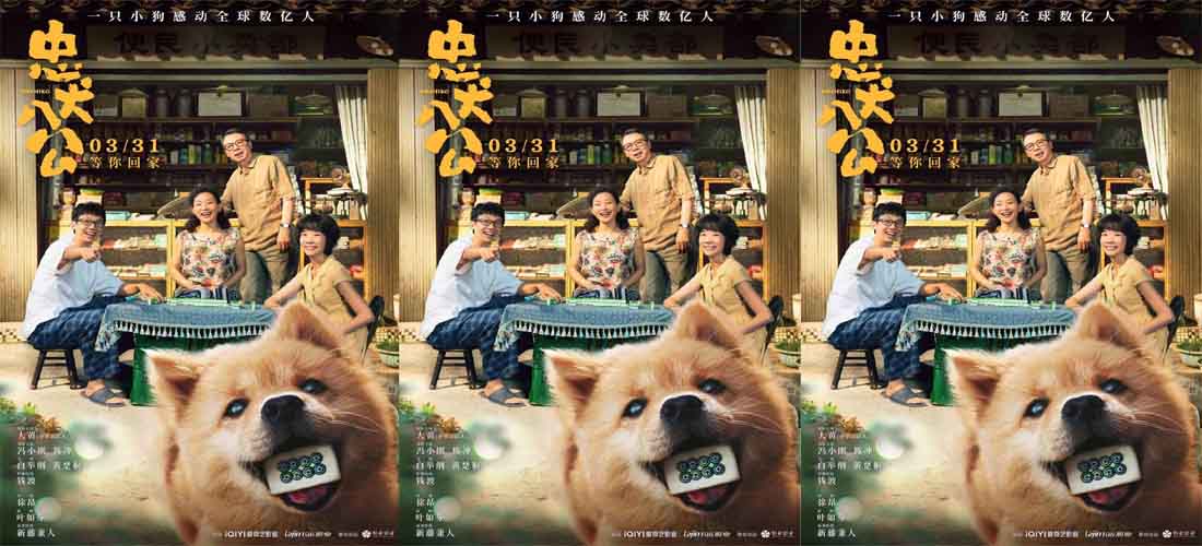 <b>电影《忠犬八公》定档3月31日 再现狗狗感动全球数亿人的故事</b>
