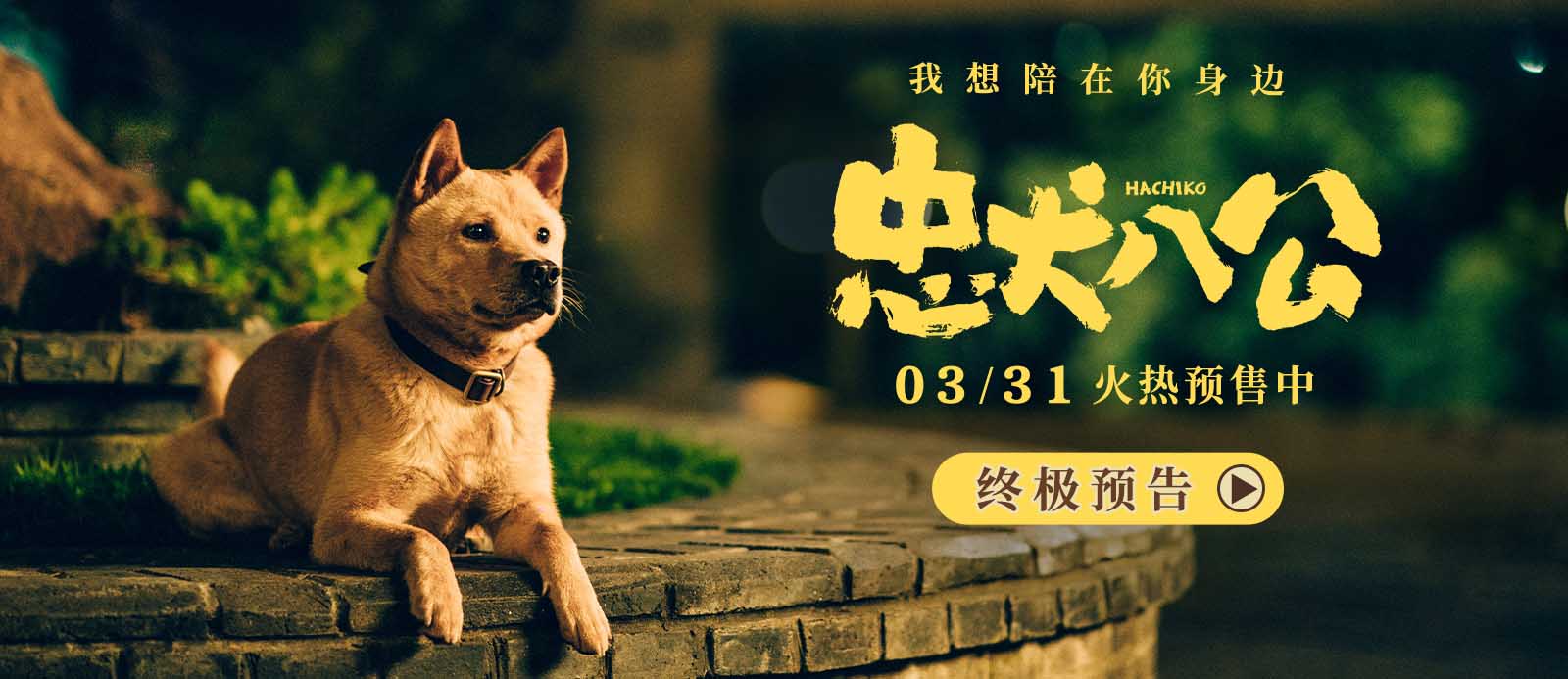 <b>年度重磅情感炸弹《忠犬八公》曝终极预告 真挚感人获观众泪目力赞</b>