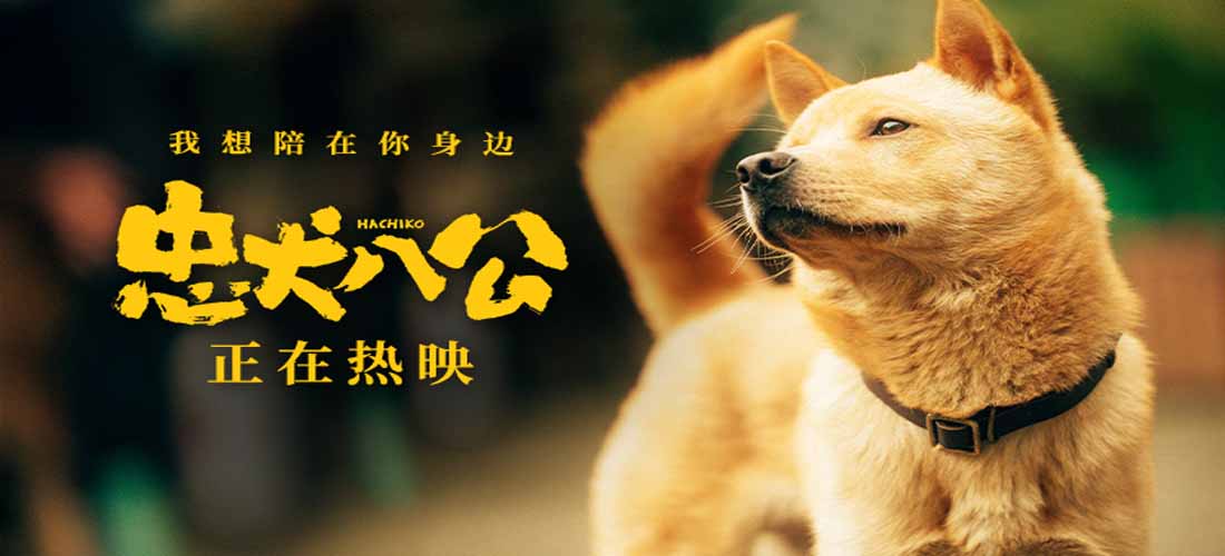 <b>中国版《忠犬八公》片尾曲MV曝光 焦迈奇催泪唱响生命轮回</b>