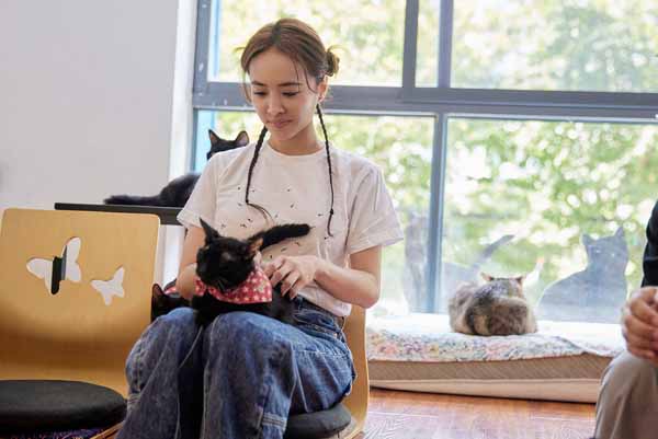 <b>蔡依林拜访武汉黑猫公益咖啡屋 心酸救助故事</b>