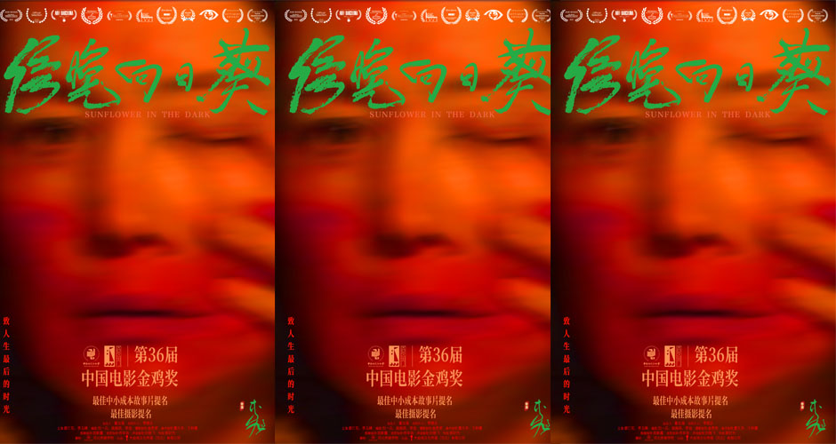 <b>电影《傍晚向日葵》获金鸡奖两项提名 发提名版海报年内全国上映</b>