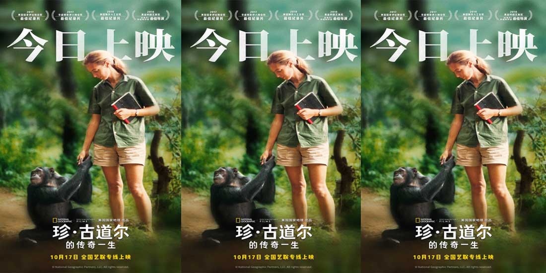 <b>《珍·古道尔的传奇一生》今日上映 传奇女性精神力量鼓舞观众</b>