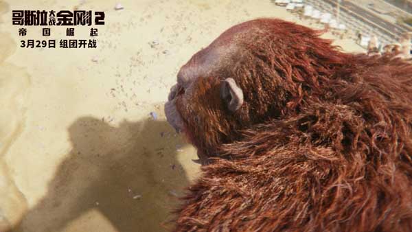 <b>《哥斯拉大战金刚2：帝国崛起》曝“柔软的心”片段 金刚无家可归 观众共鸣心</b>