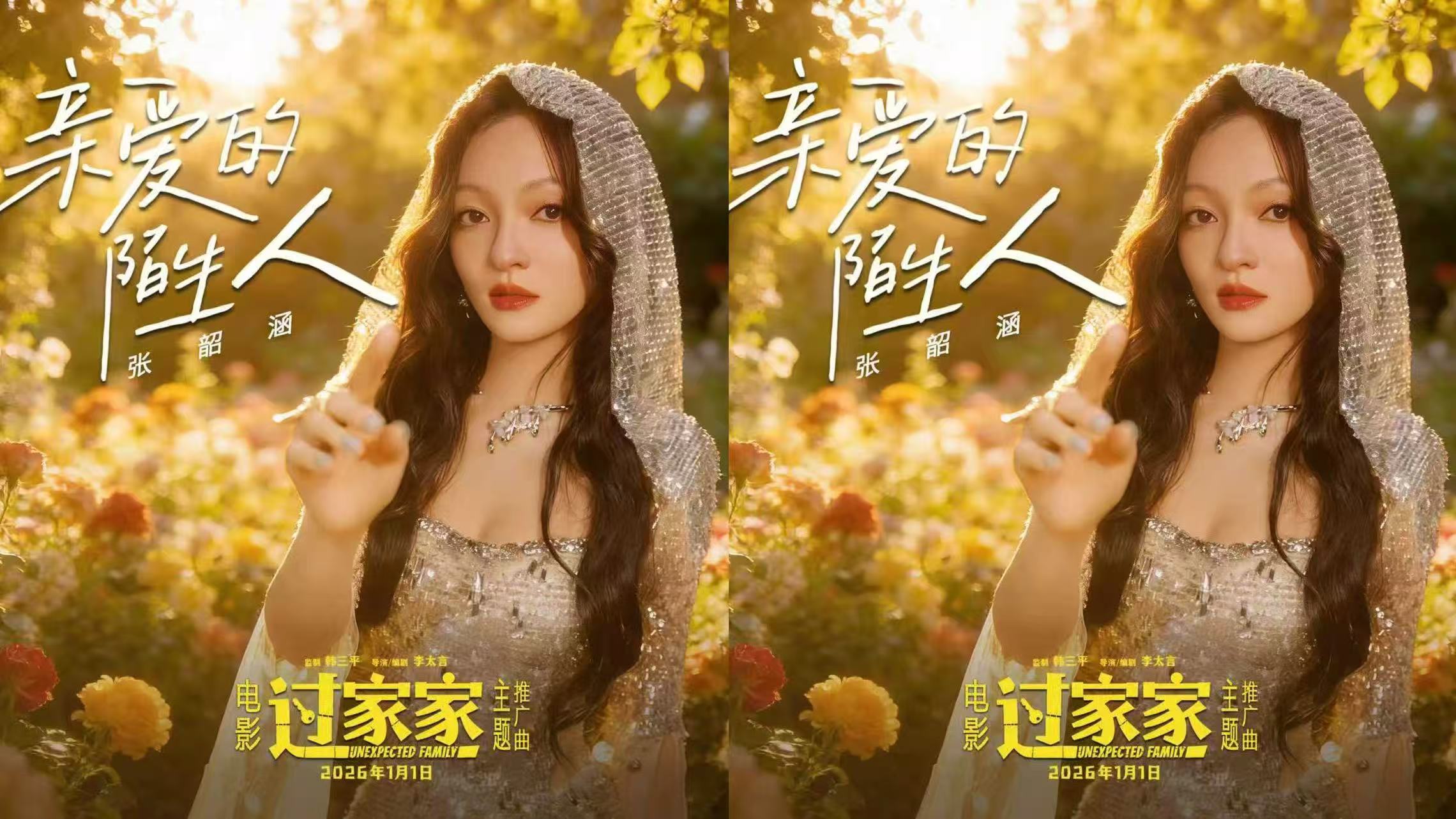 张韶涵献唱电影《过家家》主题推广曲