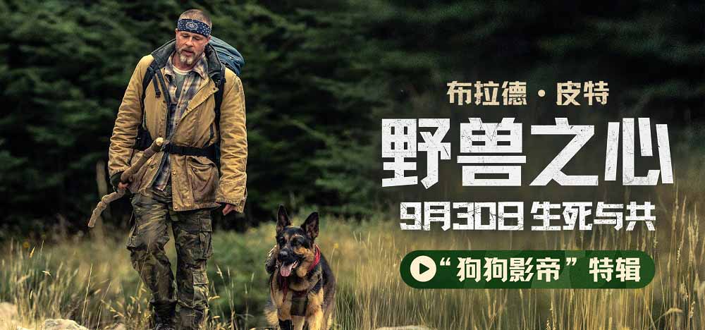 <b>布拉德·皮特新片《野兽之心》发布“狗狗影帝”特辑 电影头号演员竟是它</b>