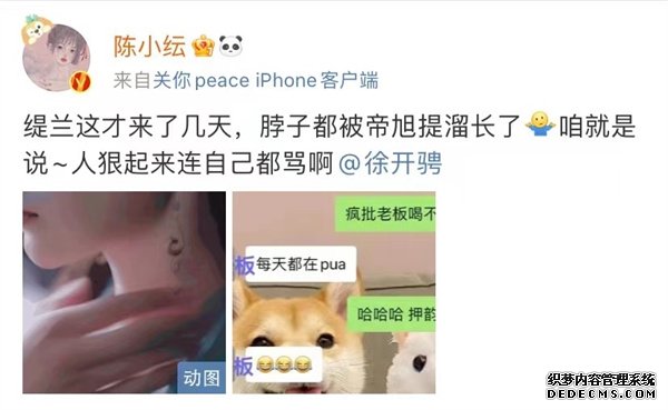 陈小纭《斛珠夫人》情感纠葛升级 “替身文学”剧情带感好上头(图2)