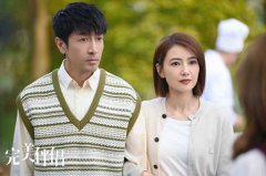 张鲁一《完美伴侣》诠释不完美“家政男” 探讨